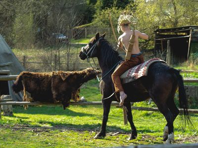 Buffalo Horse