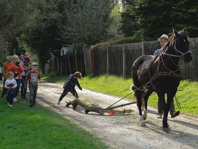 Holz rücken