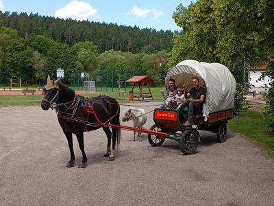 kutsche