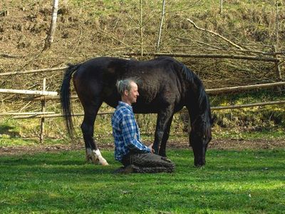 Meditation mit Pferd