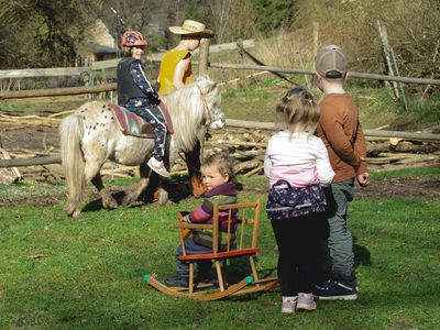 Ponyreiten bad berka